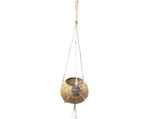 Hangende plantenpot Kokodama gemaakt van natuurlijke kokosvezels met ophangtouwen van jute.