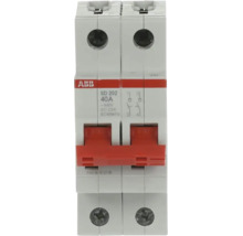 ABB lastscheider SD 202, 40 Ampere, 2-polig, ABB Logo.