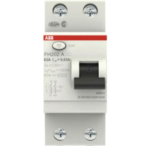 ABB aardlekschakelaar FH202 A, 2-polig, 63 Ampere, 30 Milliampere, 230 Volt, voorzien van testknop en zwarte schakelaar.