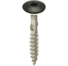 Zelfborende schroef met vleugels, zwarte bolkop en torx-aandrijving.