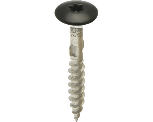 Zelfborende schroef met vleugels, zwarte bolkop en torx-aandrijving.