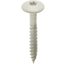Witte platkopschroef met Torx-aandrijving en metaaldraad.