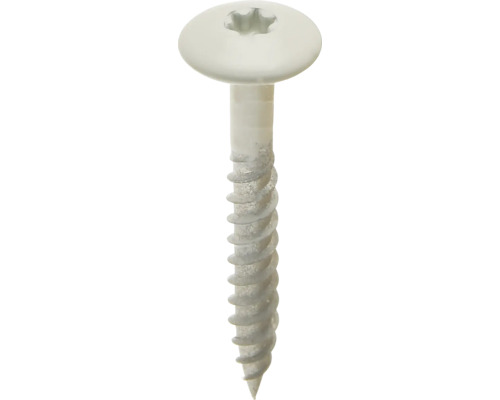 Witte platkopschroef met Torx-aandrijving en metaaldraad.