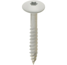 Witte schroef met ronde kop, Torx-aandrijving en deels schroefdraad.