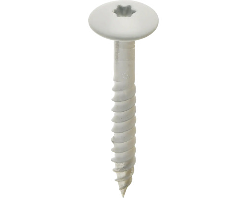 Witte schroef met ronde kop, Torx-aandrijving en deels schroefdraad.