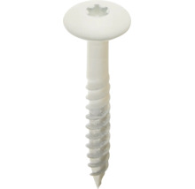 Witte schroef met ronde kop, Torx-aandrijving en deeldraad.