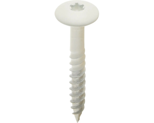 Witte schroef met ronde kop, Torx-aandrijving en deeldraad.