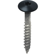 Houtschroef met zwarte bolkop en Torx-aandrijving, metaal.