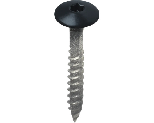 Houtschroef met zwarte bolkop en Torx-aandrijving, metaal.