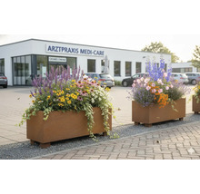 Rechthoekige plantenbakken met roestoptiek voorzien van zomerbeplanting en klimop in een buitenruimte voor een gebouw.