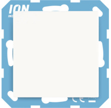 Vierkante afdekplaat voor dimmers met ION INDUSTRIES Logo en conformiteitsmarkering.