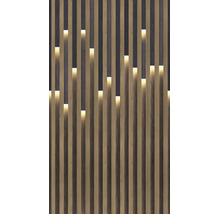 Wandpaneel met houtlook, verticale latten en geïntegreerde ledverlichting in verspringende segmenten.