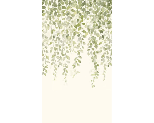 Vliesbehang met aquarelmotief van hangende groene ranken en bladeren.