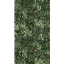 Behang met jungle-motief, monstera- en palmbladeren in gestructureerde look.