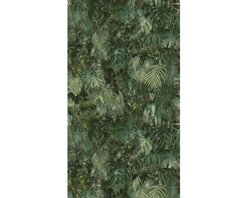 Behang met jungle-motief, monstera- en palmbladeren in gestructureerde look.