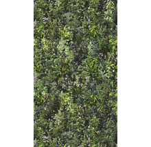 Vlies fotobehang met gedetailleerd botanisch motief van diverse kruiden, bladeren en kleine bloemen.