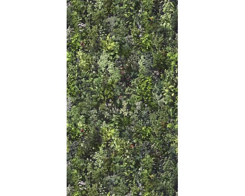 Vlies fotobehang met gedetailleerd botanisch motief van diverse kruiden, bladeren en kleine bloemen.