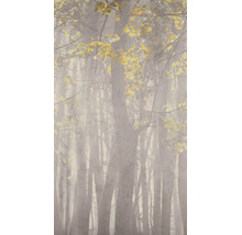 Vlies fotobehang met mistig bosmotief, slanke boomstammen en gele herfstbladeren.