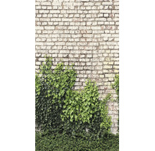 Fotobehang met een motief van een lichte bakstenen muur en opklimmende groene klimop.