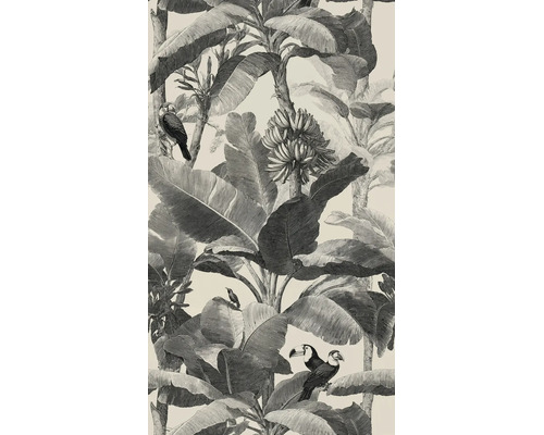 Behang met tropisch oerwoudmotief, grote bananenbladeren, bananentrossen en toekans in de stijl van een botanische illustratie.