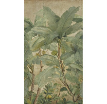 Vliesbehang met botanisch ontwerp van bananenbomen met grote bladeren en vruchten in vintage stijl op een getextureerde achtergrond.