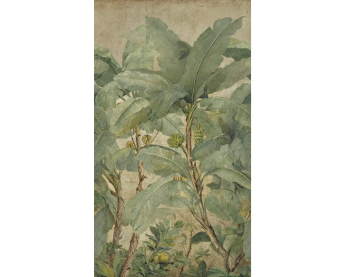 Vliesbehang met botanisch ontwerp van bananenbomen met grote bladeren en vruchten in vintage stijl op een getextureerde achtergrond.