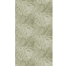 Vliesbehang met een patroon van grote Monstera-bladeren in botanische stijl.