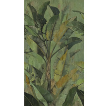 Vliesbehang met groot bananenbladmotief in geïllustreerde stijl.