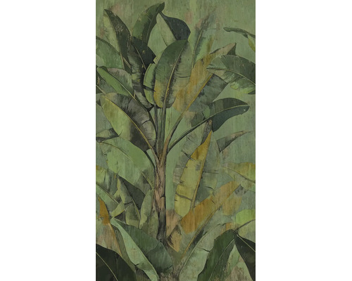 Vliesbehang met groot bananenbladmotief in geïllustreerde stijl.