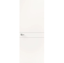 Witte binnendeur met horizontaal designelement en moderne deurklink.