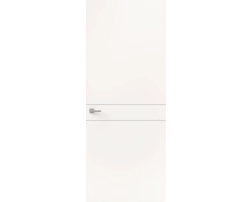 Witte binnendeur met horizontaal designelement en moderne deurklink.
