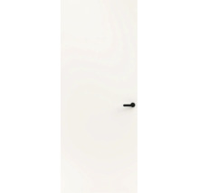 Witte binnendeur met een zwarte deurklink in een strak, modern ontwerp.