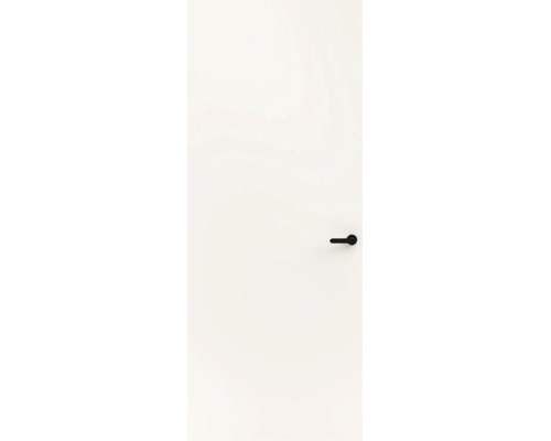 Witte binnendeur met een zwarte deurklink in een strak, modern ontwerp.
