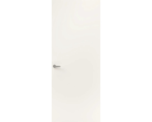 Witte binnendeur met een glad oppervlak en een moderne metalen deurkruk.