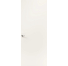 Witte binnendeur met een glad oppervlak en een moderne metalen deurkruk.