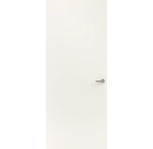 Witte binnendeur met een glad oppervlak en een zilverkleurige deurkruk.