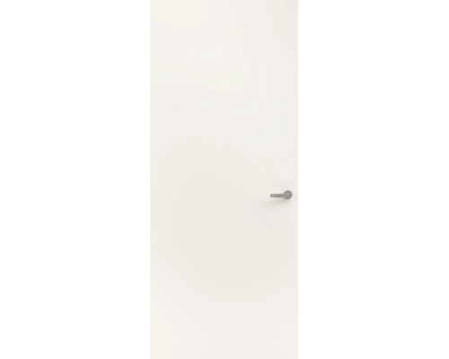 Witte binnendeur met een glad oppervlak en een zilverkleurige deurkruk.