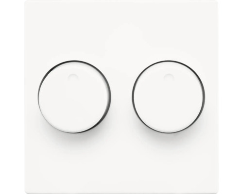 Tweevoudige draaidimmer met twee ronde draaiknoppen op een vierkante afdekplaat.