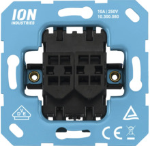 ION Industries schakelaar- of dimmerbasiselement met draagring, 10 Ampère, 250 Volt, met VDE- en CE-markering.
