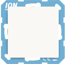 Ion Industries LED dimmer inbouw