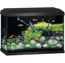 Compleet aquarium met zwarte lichtkap en omlijsting, ingericht met planten, stenen, hout en oranje vissen.