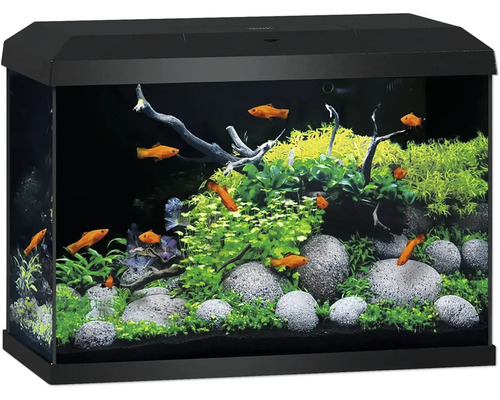 Compleet aquarium met zwarte lichtkap en omlijsting, ingericht met planten, stenen, hout en oranje vissen.