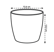 Afmetingen van de bloempot: diameter 13,6 centimeter, hoogte 12,5 centimeter.