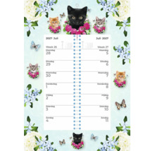 Wandkalender met kattenafbeeldingen en bloemenpatroon voor het jaar 2027