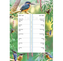 Wandkalender voor het jaar 2027 met ijsvogel afbeeldingen en weekplanner indeling.