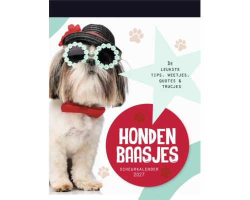 Hondenbaasjes scheurkalender 2027 met tips en weetjes