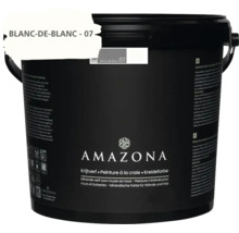 Emmer met Amazona Krijtverf in Blanc de Blanc 07 voor minerale muren en hout