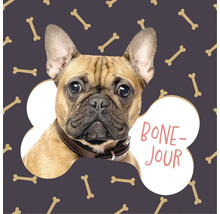 Vierkante wanddecoratie met een Franse Bulldog in een botvorm, bottenpatroon en de tekst Bone-Jour.