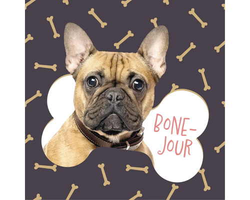 Vierkante wanddecoratie met een Franse Bulldog in een botvorm, bottenpatroon en de tekst Bone-Jour.