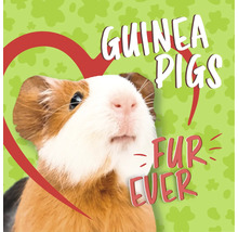Bruin-witte cavia met de tekst Guinea Pigs Fur Ever en een hartsymbool.